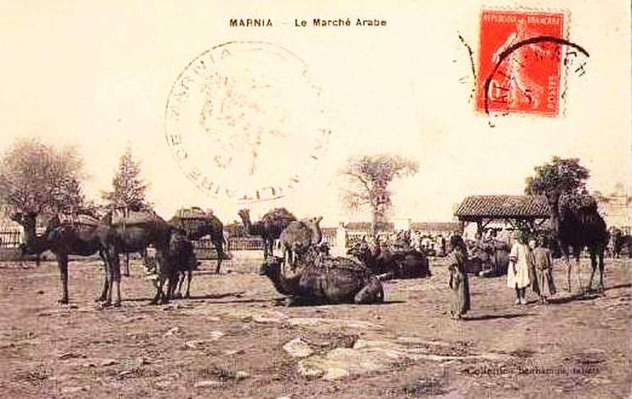 Marnia 252.jpg